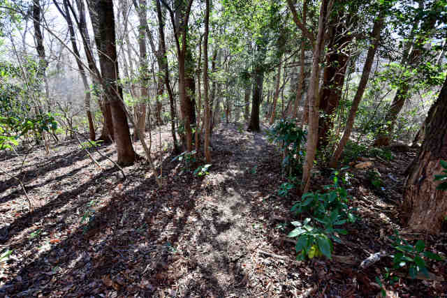 �H���[���O�{����