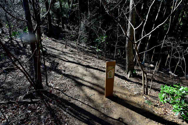 �H���[���O�{����o�R��