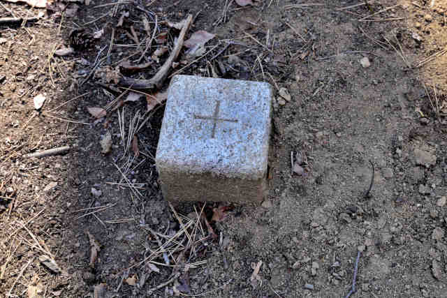 �H���[���O�{���O�p�_