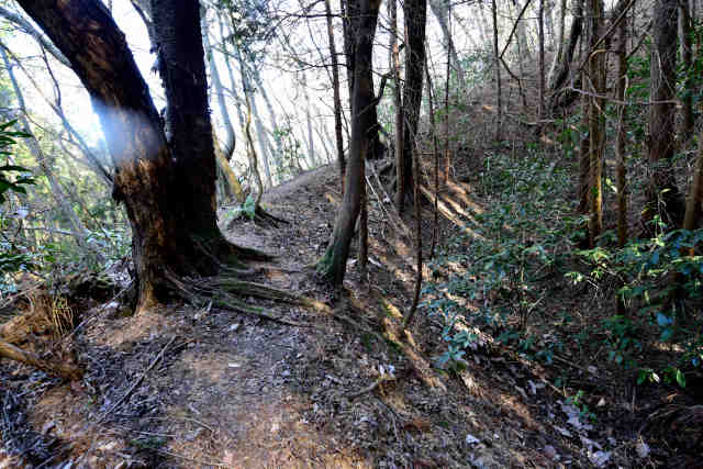 �H���[�����֐�