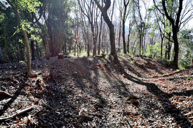 �H���[���������՘e