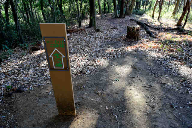 �H���[���������Ոē���