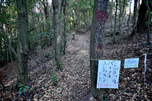 �H���[��T���H��