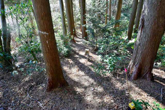 �H���[��353��