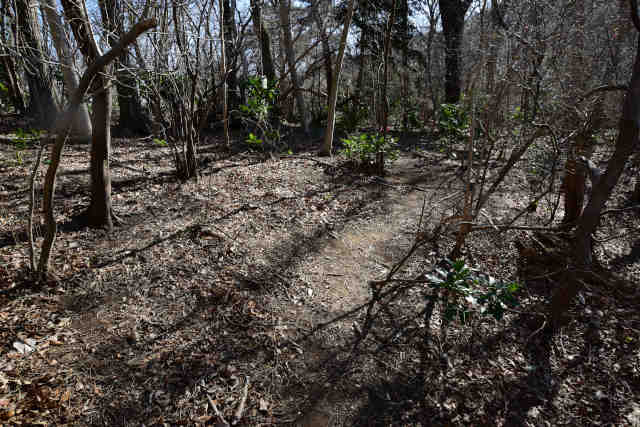 �H���[���o�R��