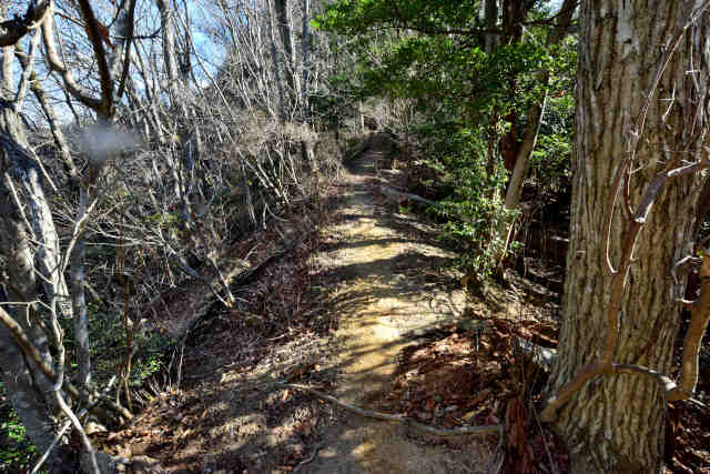 �H���[���n�̔w