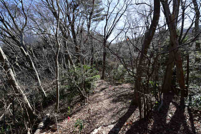 �H���[�������