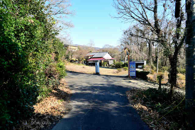 �і��_�ЃR�[�X����