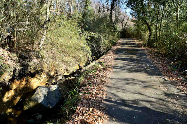 ��t�𑢓o�R��