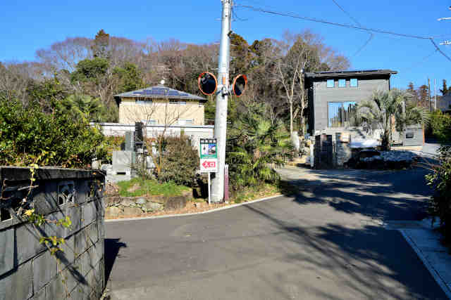 ��t�𑢎𑠓���