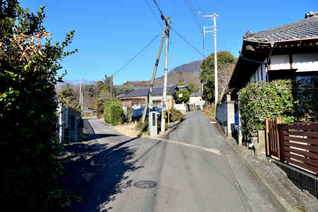 �і��_�ЃR�[�X����