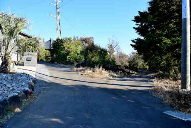 ��t�𑢎𑠍�