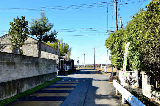 �_�S�����_�E