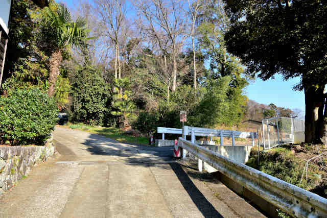 �}�g�R����t�𑢐���