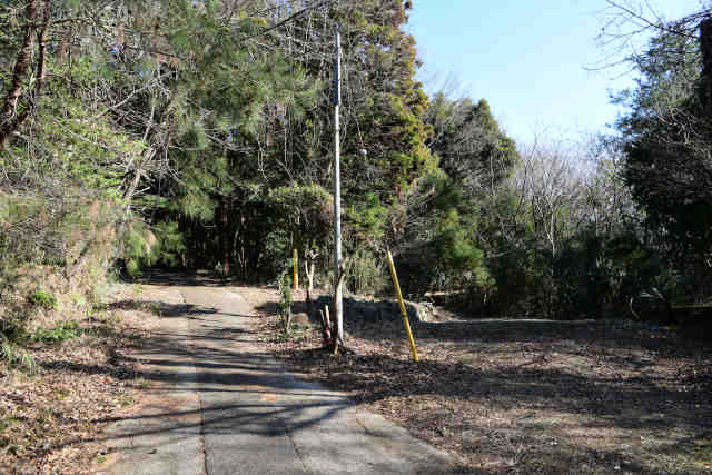 �}�g�R���o�R�������ΐ_�Е���