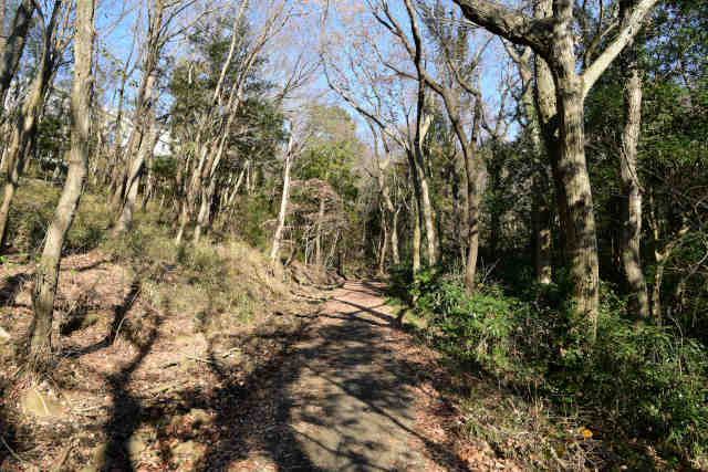 �}�g�R���o�R���ъ�