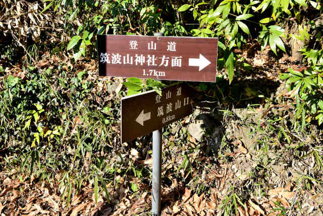 �����H�ē���