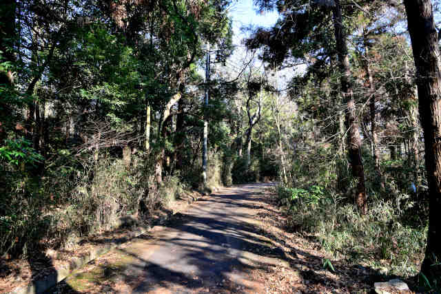 �}�g�R���o�R��