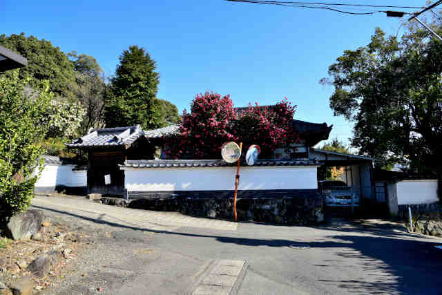 ���R�ʂ荇��