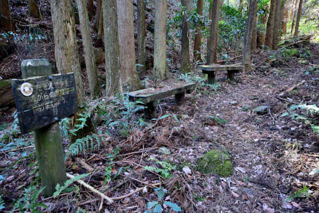 ���ܑ򍶃x���`