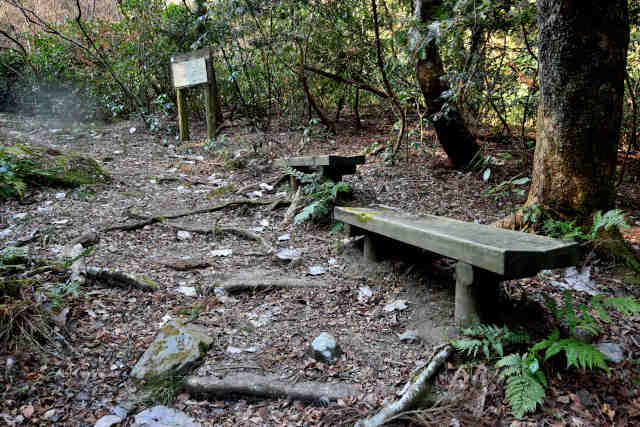 ���ܑ�x���`�E