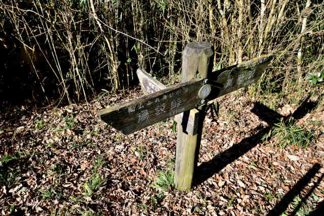 ���ܑ�o�R���ē��W