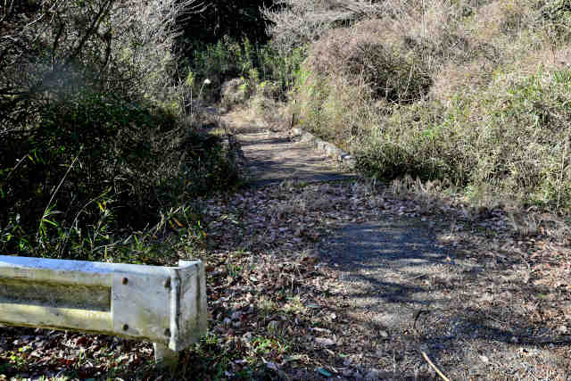 ���ܑ�o�R����