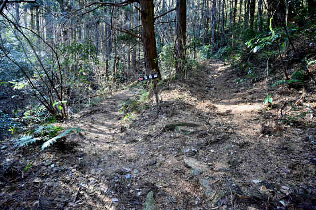 ���ܑ������