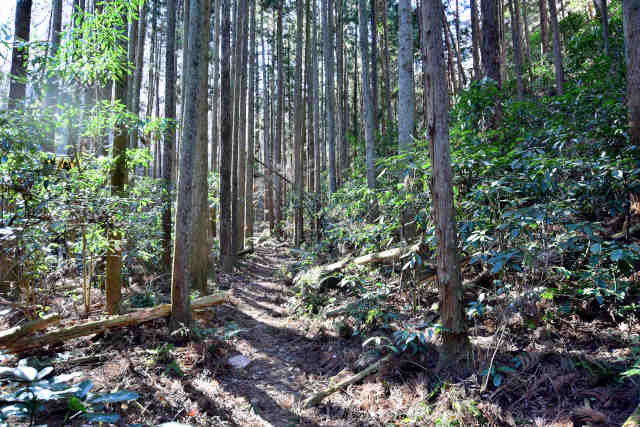 ���ܑ���ؗ�