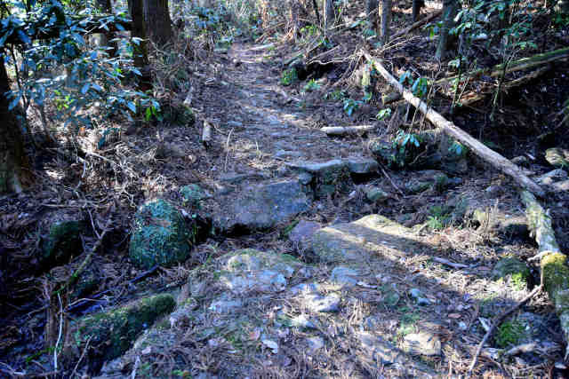 ���ܑ����n