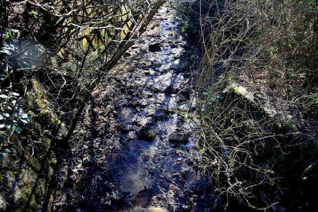 ���ܑ򋴏��