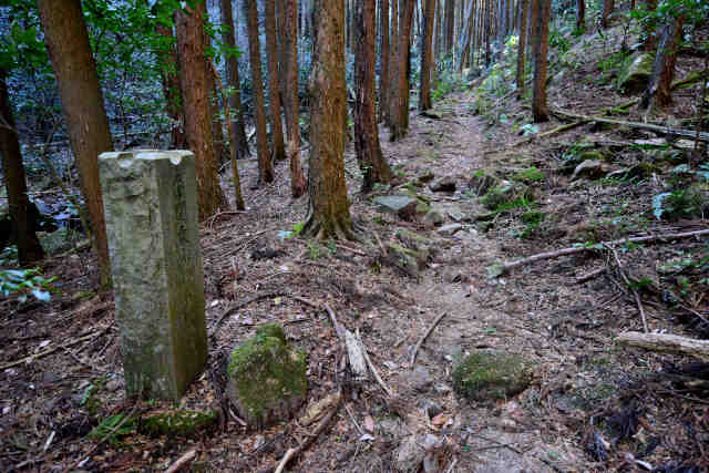 ���ܑ�֓��ӂꂠ���̓��ΕW