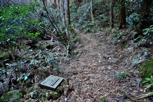 ���ܑ�֓��ӂꂠ���̓�