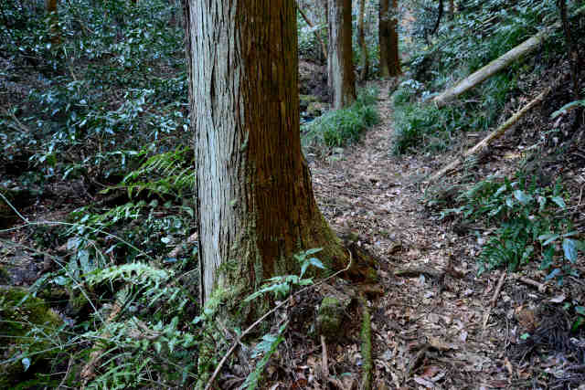 ���ܑ��e�ؗ�