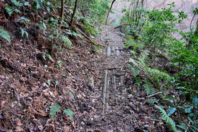 ���ܑ�o�R����