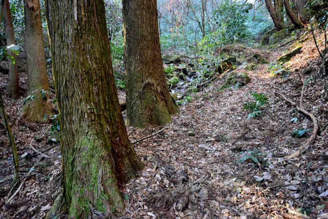 ���ܑ��e��