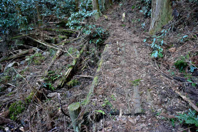 ���ܑ�e��拴