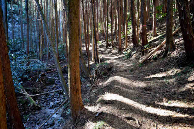 ���ܑ�č���