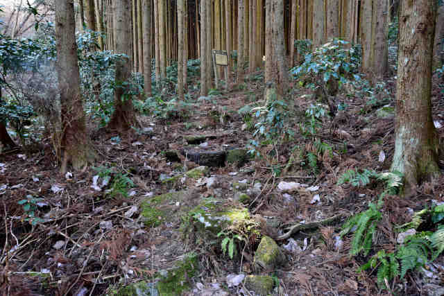 ���ܑ򐙖ؗ�