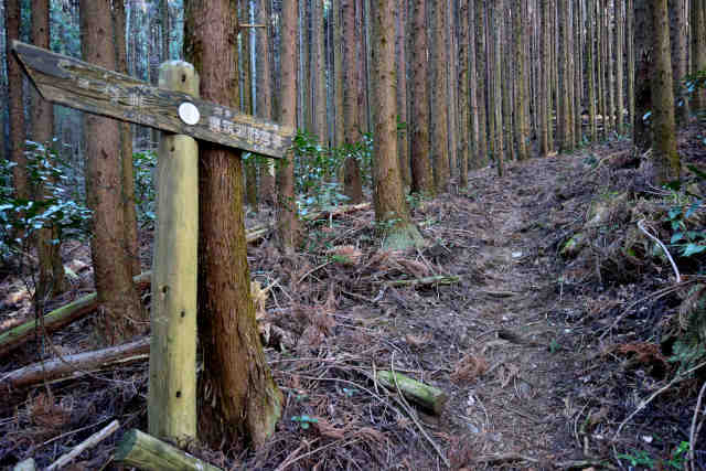 ���ܑ򐙖ؗ��ē��W