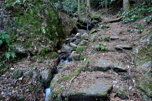 ���ܑ��e�ΊK�i