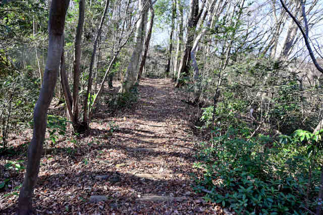 ���ܑ������