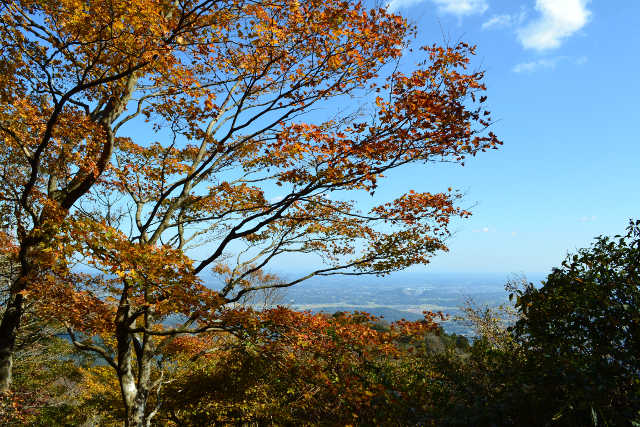 白雲橋コースからの紅葉と眺望