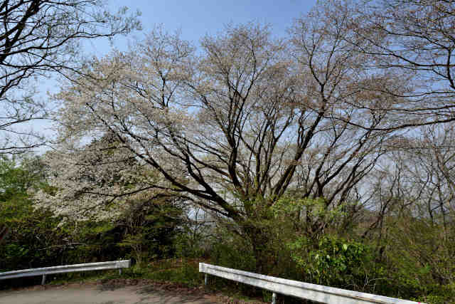 勽ѓ