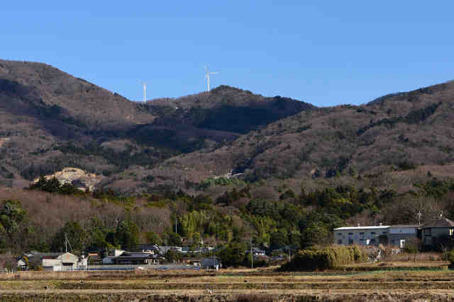丸山桜川
