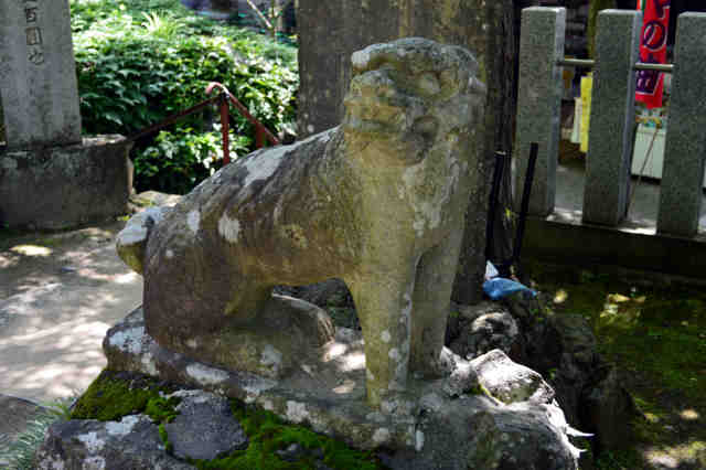 参道狛犬右