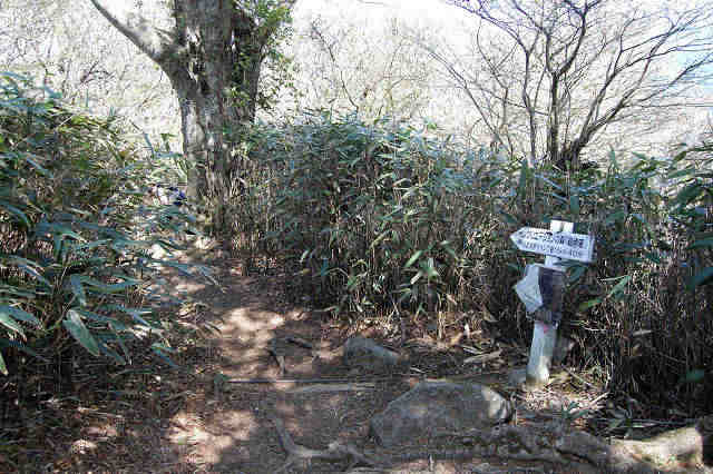 筑波高原キャンプ場コース下山口