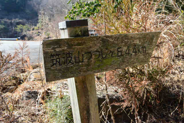 ���}�g�n�C�L���O�R�[�X�ē��W