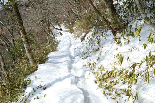 雪の自然研究路