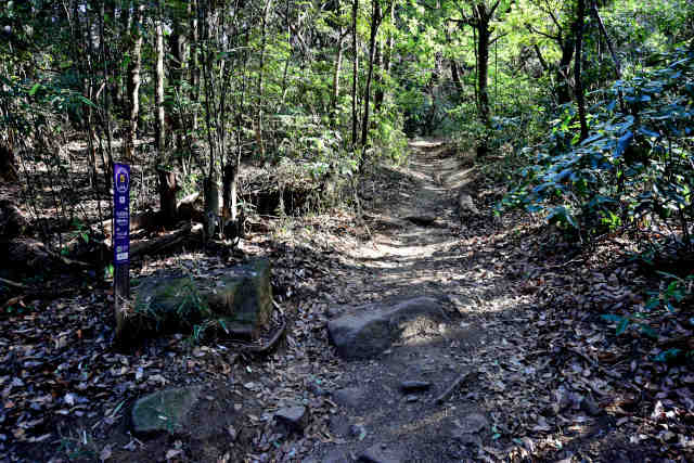 �򉤉@�R�[�X�T�|�R�W�O